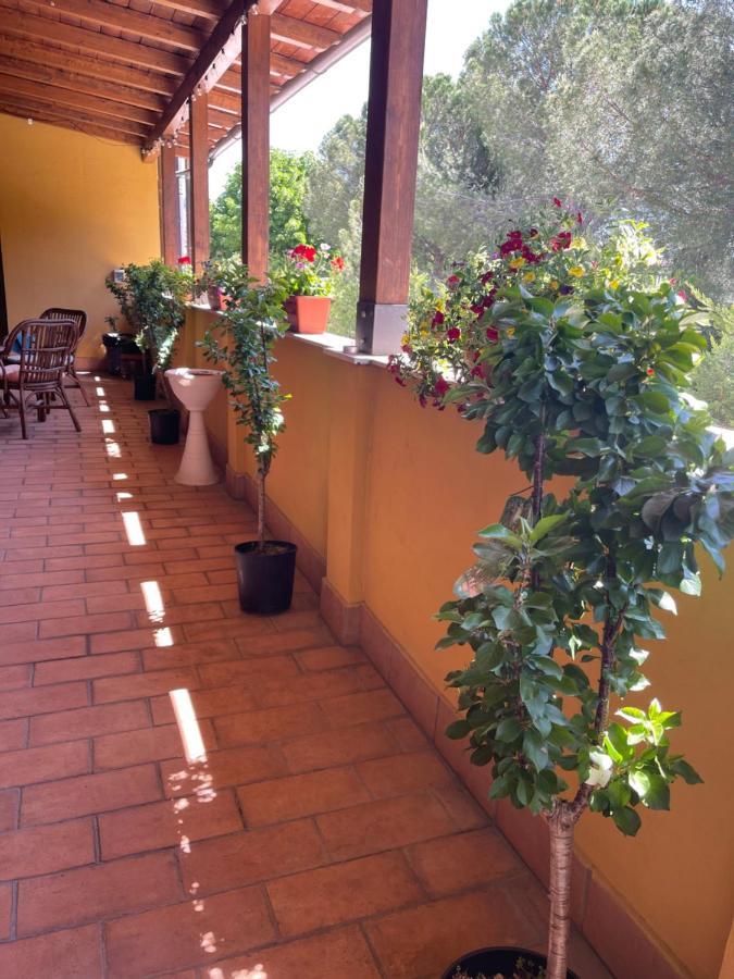 Hotel La Terrazza Dei Ciliegi Santa Maria Degli Angeli  Exterior foto